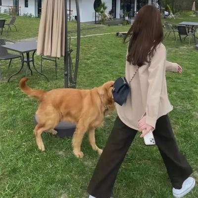 动物出击